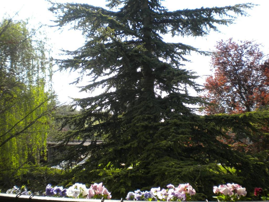Вілла Aux Marguerites Sainte-Genevieve-les-Gasny Номер фото